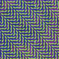 Merriweather Post Pavilion album art