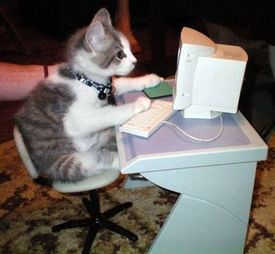 A kitten sits at a small toy computer.